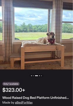 Raised dog bed with bedding