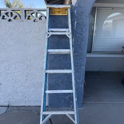 6 Foot Werner ladder