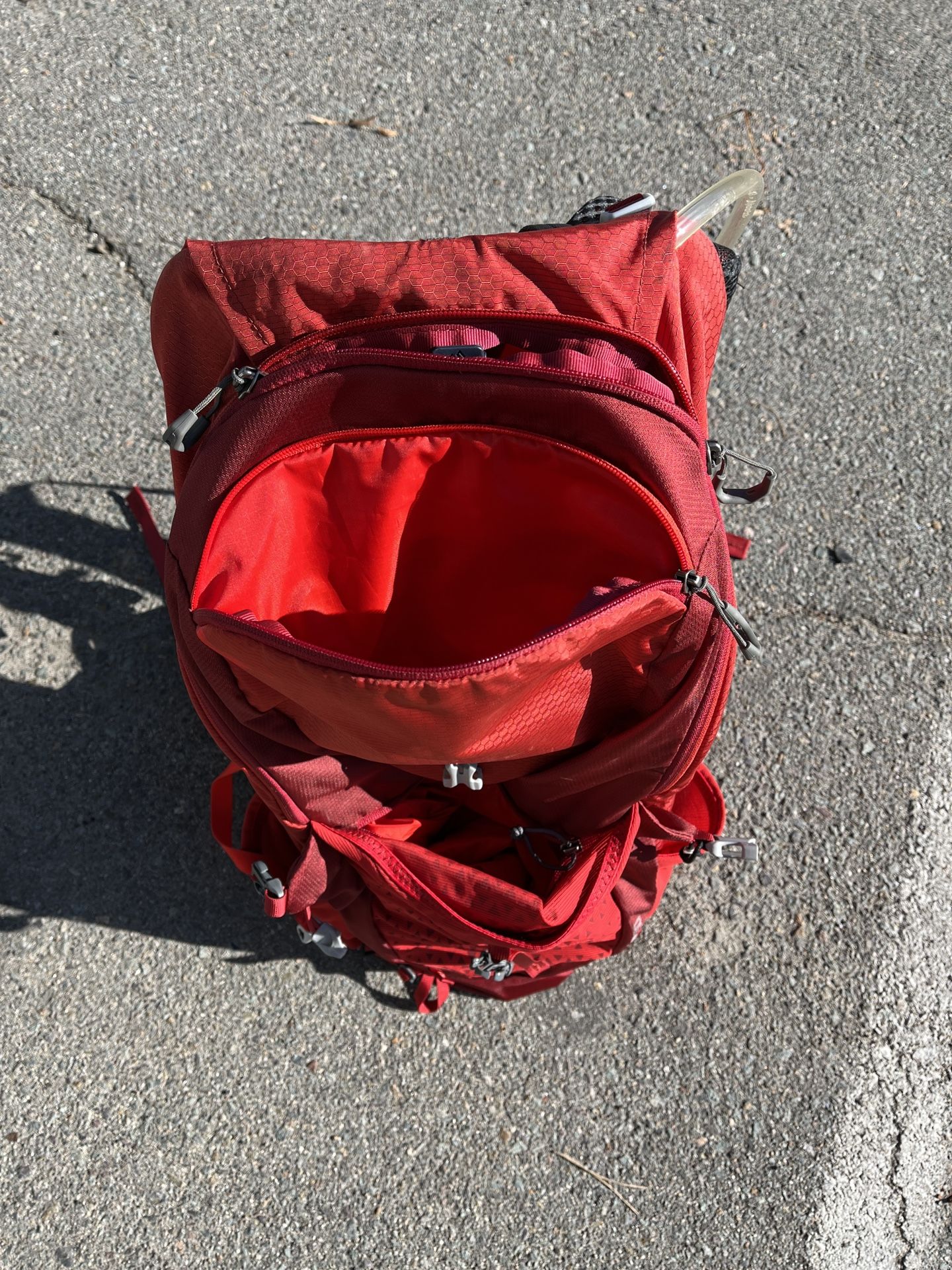Camelback Backpack