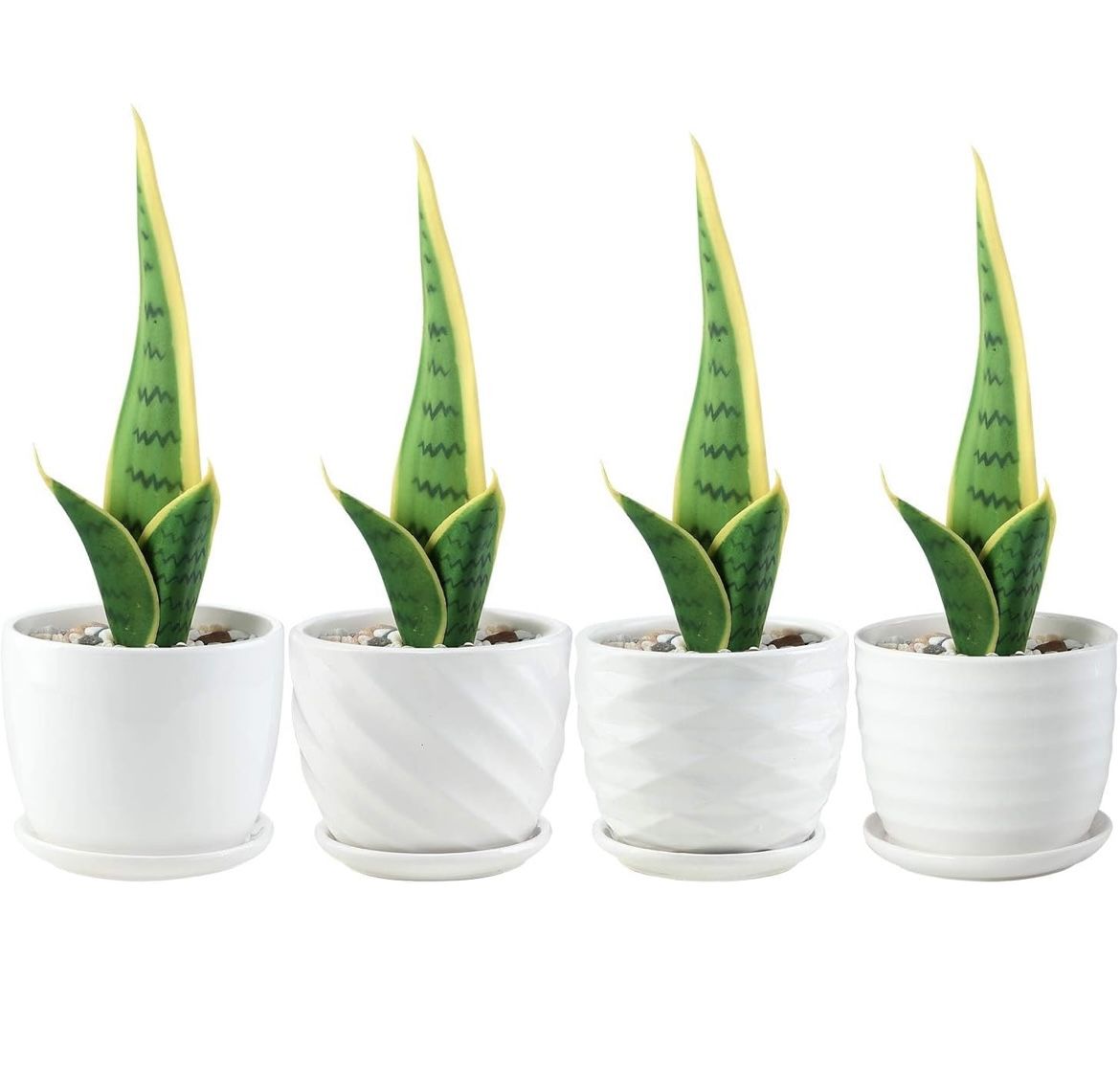 Set Of 4 Ceramic White Pots With Attached Saucer 4.5"X3.5" NEW