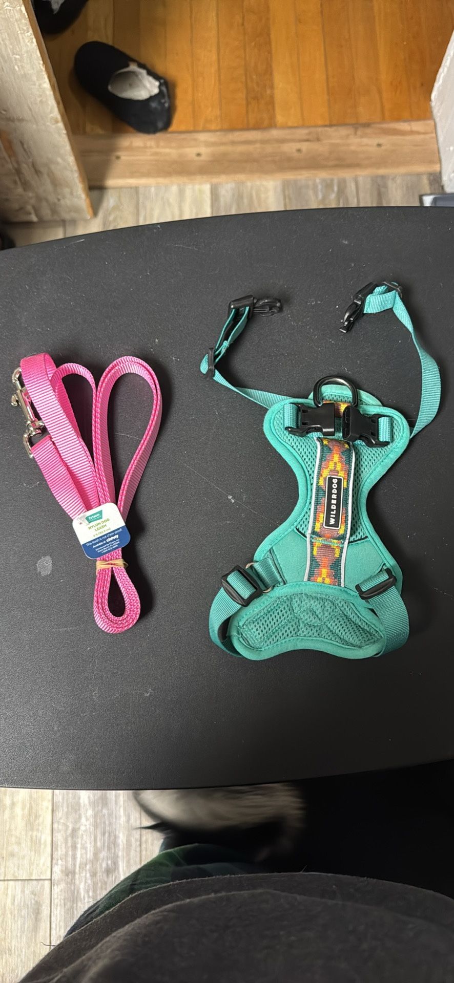 Brand New Pink 6ft Leash and Wilderness Dog Harness (used)
