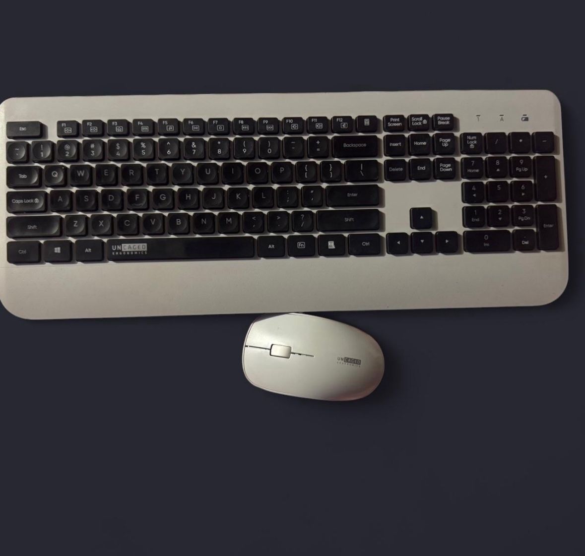 WorkEZ Wireless Keyboard and Wireless Mouse