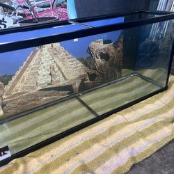 50 Gallon Aquarium 