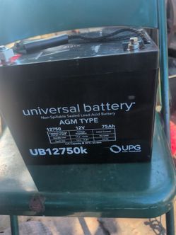 2 Deep cycle type 12 AGM batteries. 3 months old 150