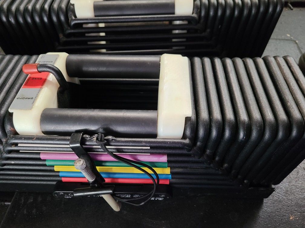 125 lb Powerblock Dumbbells