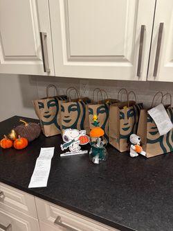 New Starbucks snoopy cups brand new never touched bought to sell