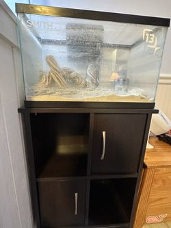 10 Gallon Fish Tank with Stand And Filter