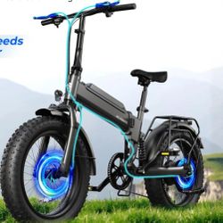 Wayfarer Plus 20” Folding EBike 