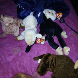 Beanie Babies 