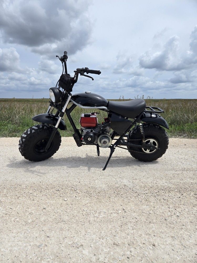 Trailmaster Hurricane 200ex (Like New)