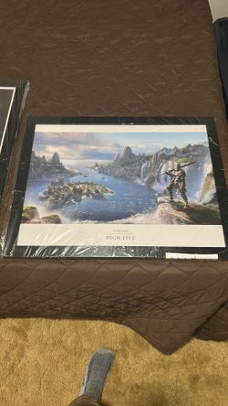 Elder Scrolls Online Lithograph 171/400 Framed