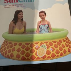 3d Pineapple Swimming Pool 