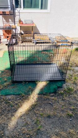 Large kennel