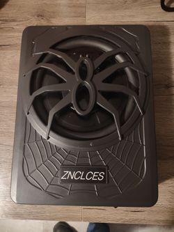 10" Subwoofer