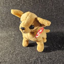 Original Ty Beanie Baby Chihuahua Tiny DOB 9/8/98/ Tag 1999 With Tag & Protector