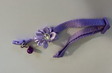 Dainty Pet collar