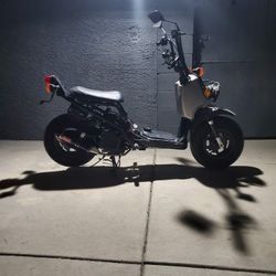 2009 Honda Ruckus