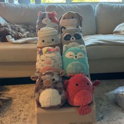 Squishmallow Medium Size