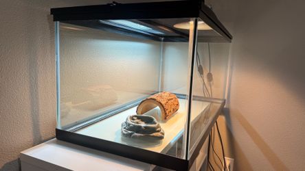Reptile cage with lights