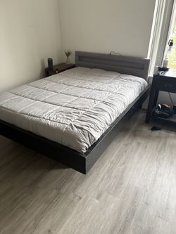Floating Bedframe + Head Board