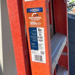 Ladder Werner 300 Pounds Max Load 