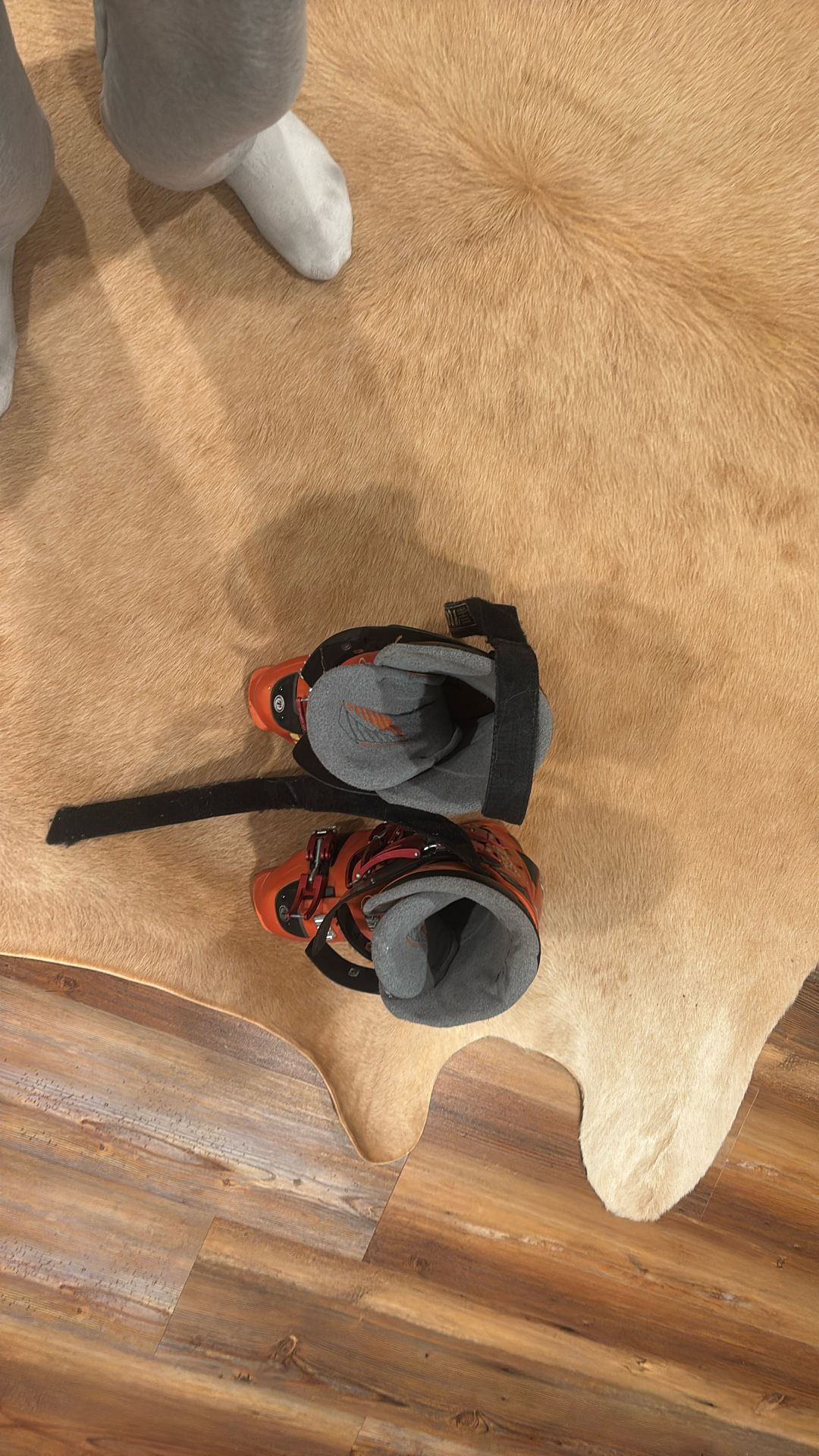 Tecnica Ski Boots