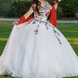 Quince/ Party Dress