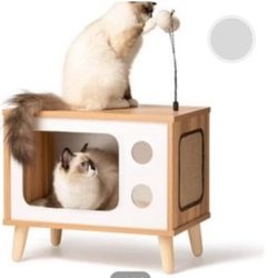 Cat Hang Out sleeping quarters