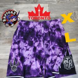 NBA Toronto Raptors Mitchell And Ness Shorts 