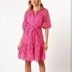 Hollow Out Lace Mini Dress Lantern Sleeve Lapel Button Ruffle Casual Beach Party Dresses