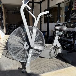 Rogue Echo bike
