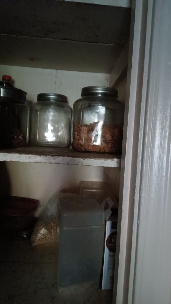 Each Glass Container