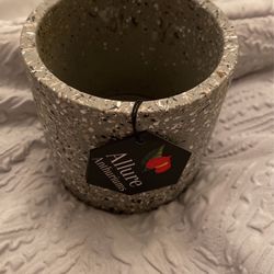 plant pot