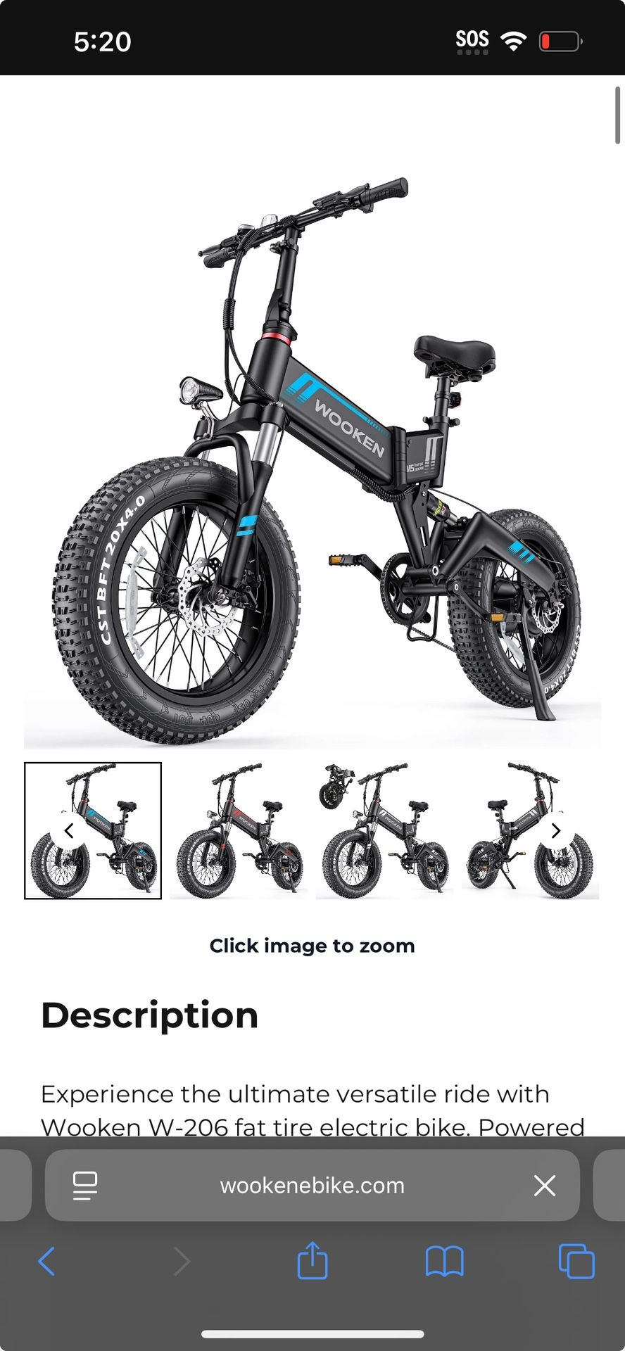 STOLEN E-BIKE
