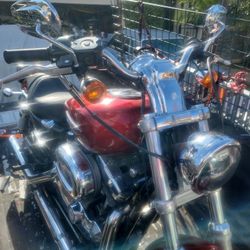 2008 Harley Davidson Sportster 1200 Custom