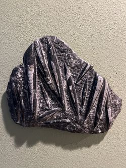 Large Orthoceras Fossil 14 Ib Slab 14”x12”