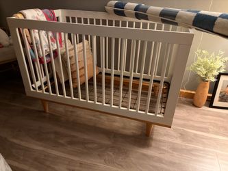 Crib and Newton mattress
