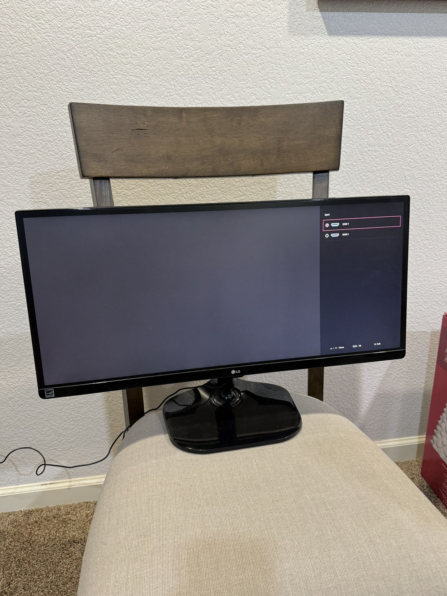 Lg Monitor 25”