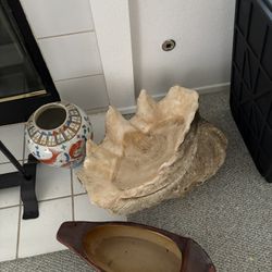 The Ocean Oyster Shells 