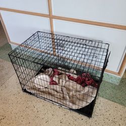 Cage Two Door Price $40 New Condition No Wear