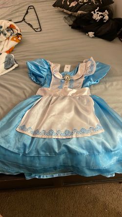 Alice and the wonderland costume