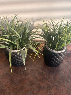 Faux plants with 2 sets of vases