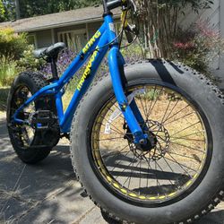 Kong Fat Tire Mountain Bike for Kids