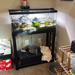 Complete Fish Tank Withstand
