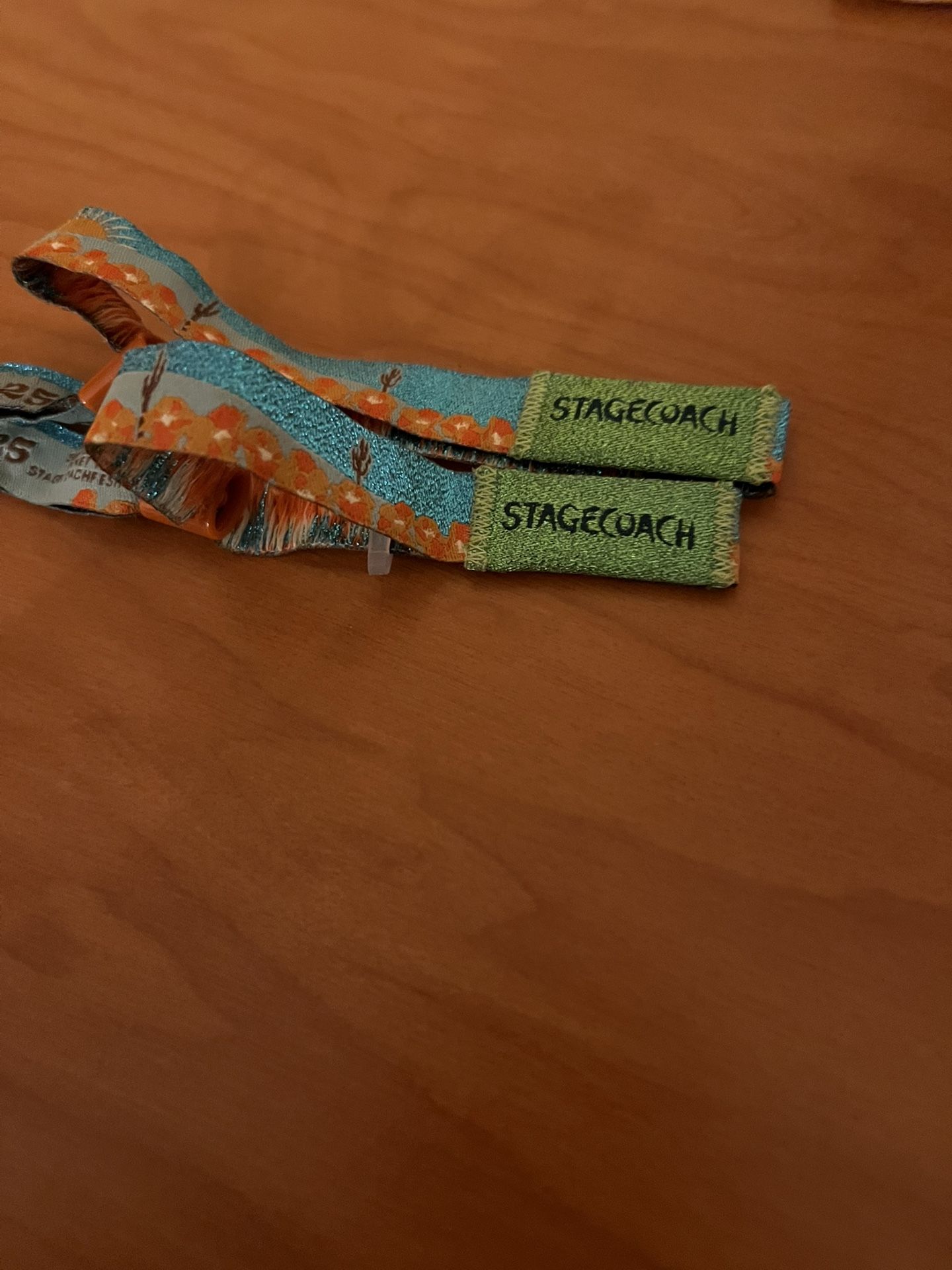 Stagecoach Sunday