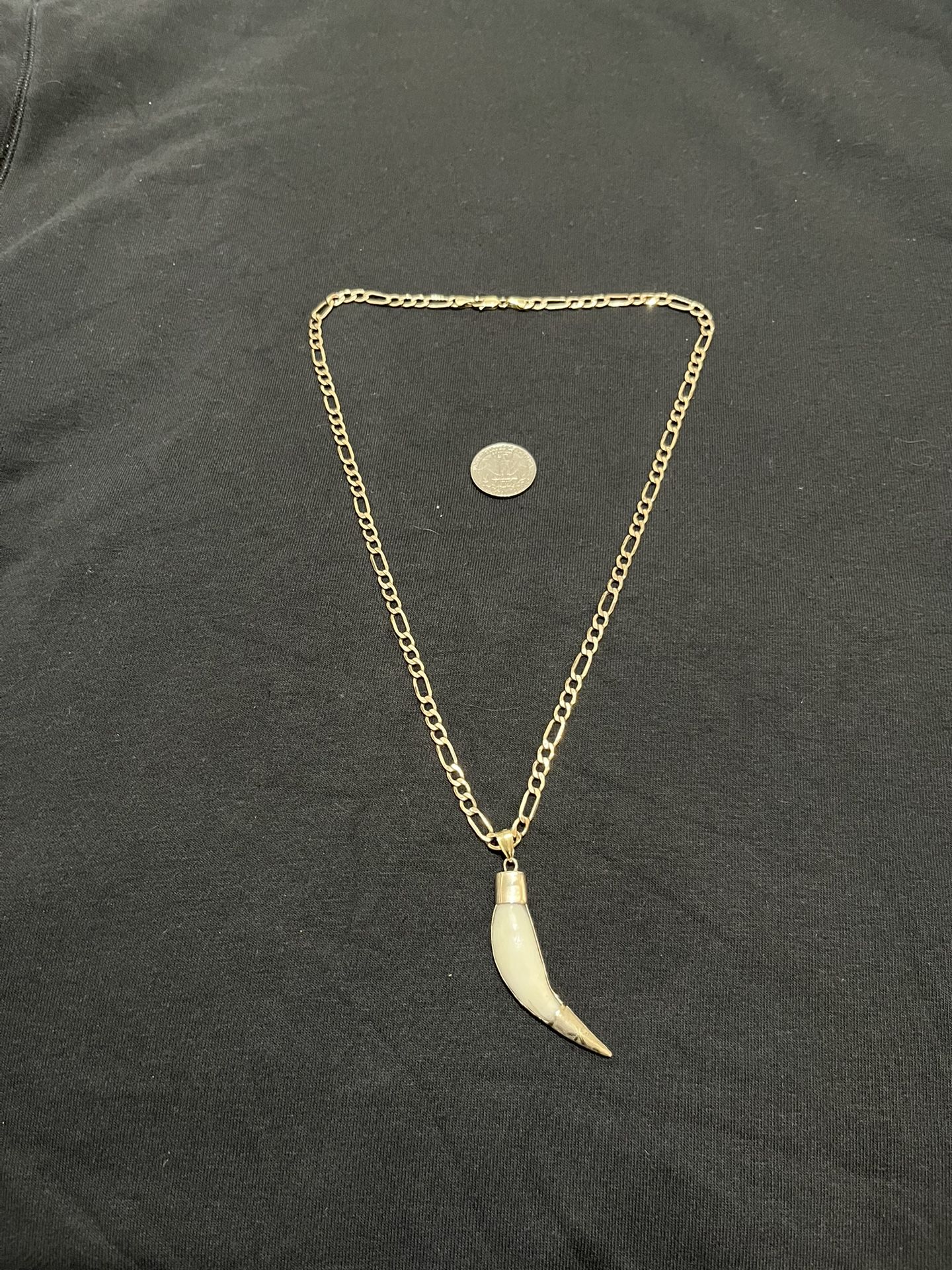 10kt gold chain and wolf fang