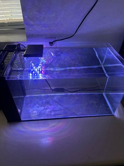 Saltwater aquarium