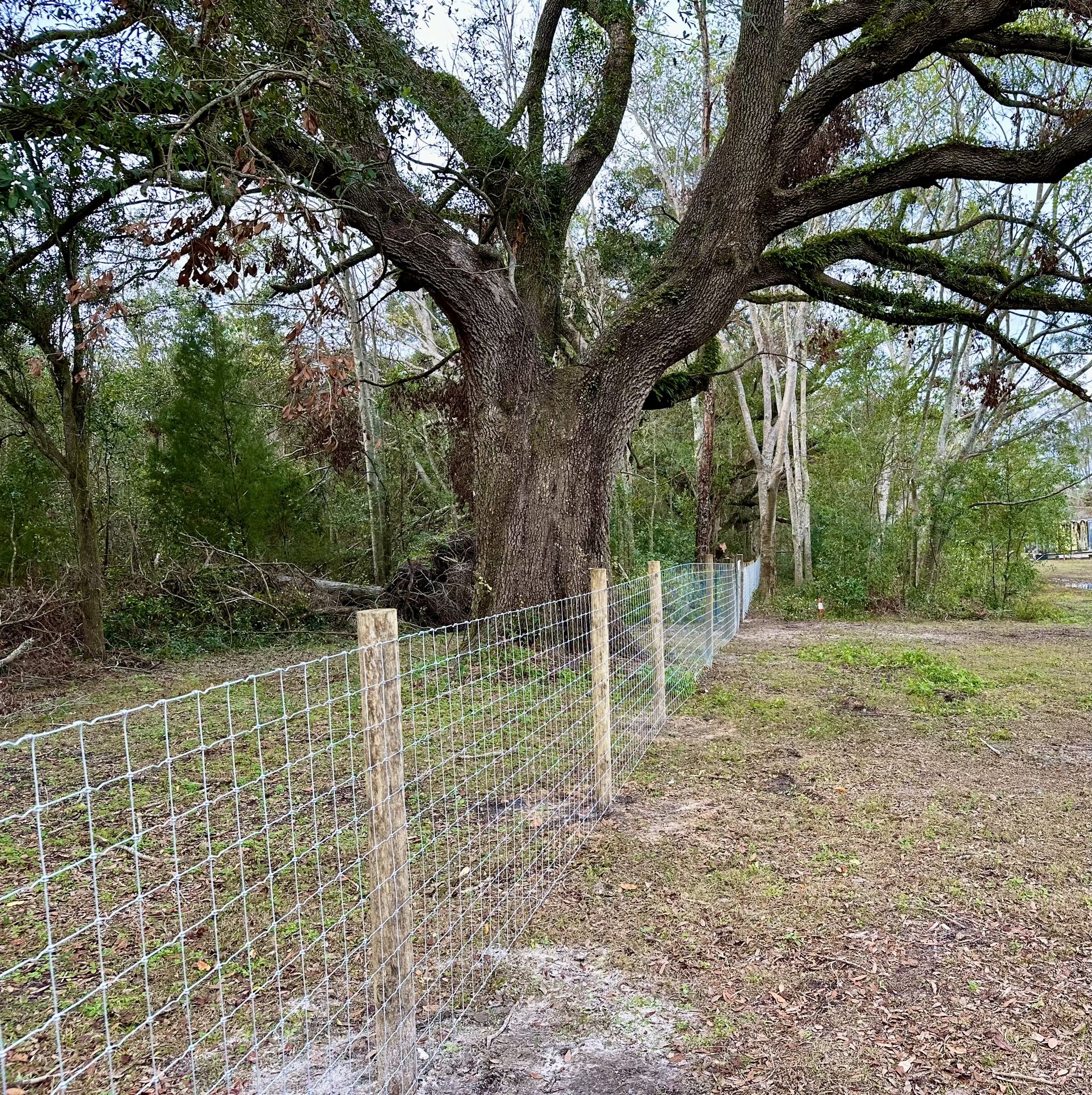 Fence Work For Sale