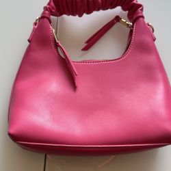 Pink Purse 