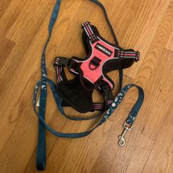 Small Dog Harness And Leash